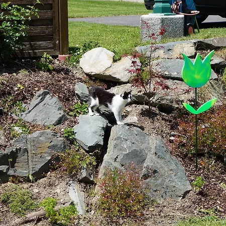 Sonnenschein Uttendorf